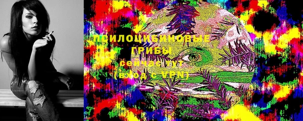 первитин Алексеевка