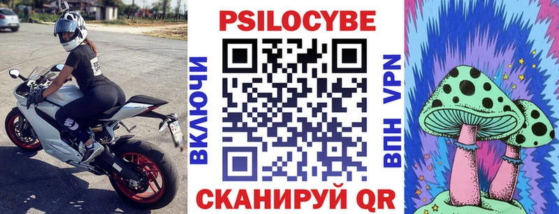 Галлюциногенные грибы MAGIC MUSHROOMS  Чекалин 