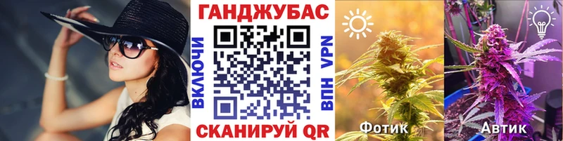 Конопля SATIVA & INDICA Чекалин